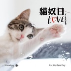 48368808 1941555209473591 4472235602921652224 n